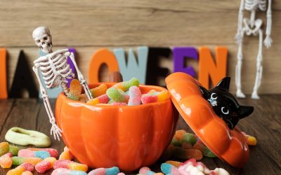 Many types of candy that is given out on Halloween can be toxic to our pets