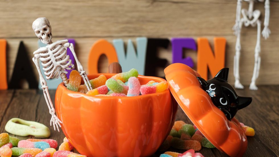 Most Toxic Halloween Candies for Dogs [+ Safety Tips] | Get Odie - Identifying Worst Candy Hazards For Dogs