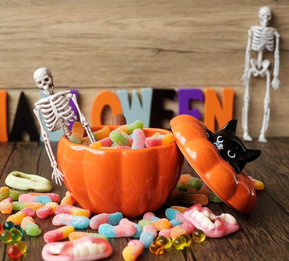 Many types of candy that is given out on Halloween can be toxic to our pets