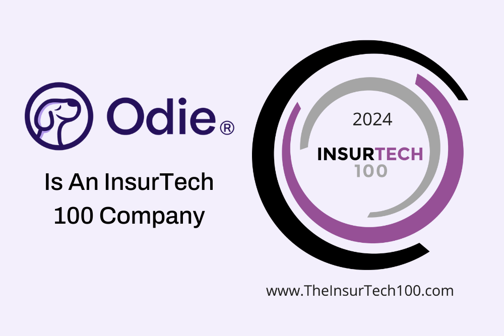 Odie Pet Insurance Recognized As An Insurtech 100 Company