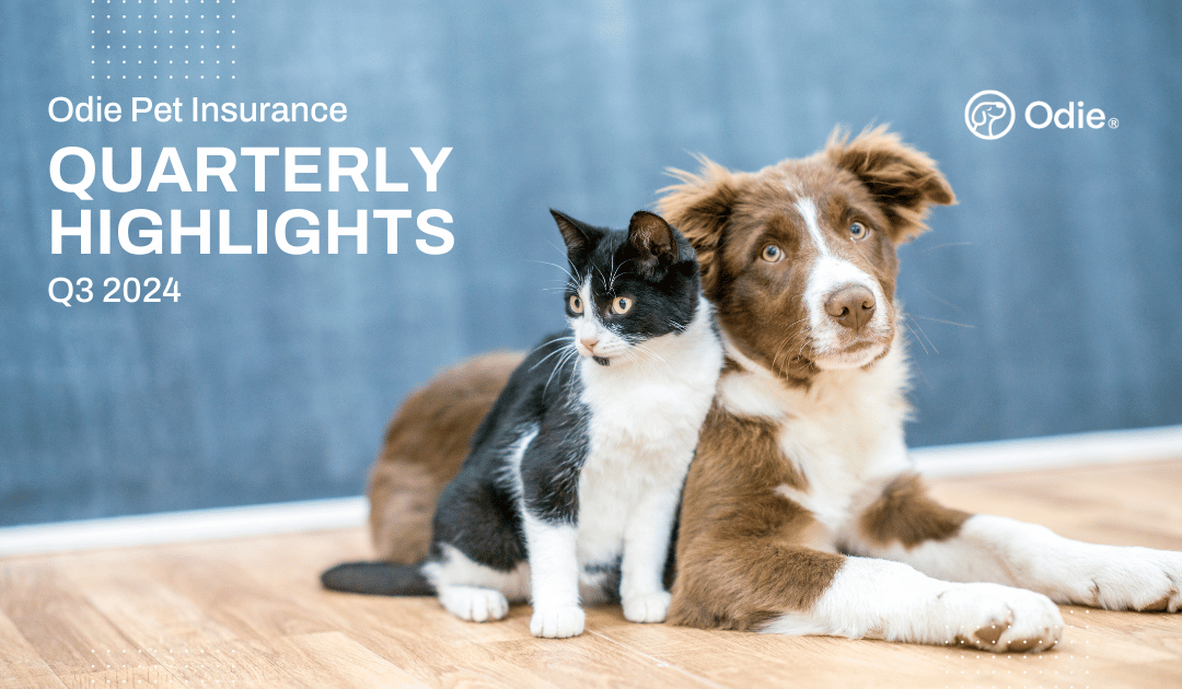 Q3 Quarterly Highlights: Odie Pet Insurance