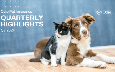 Q3 Quarterly Highlights: Odie Pet Insurance