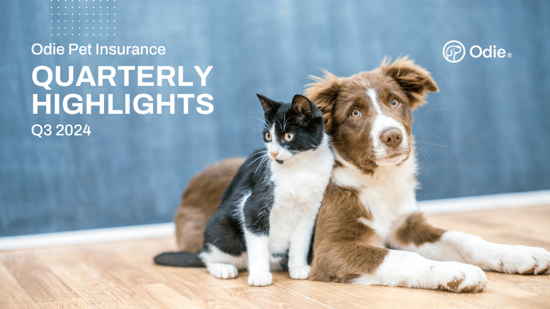 Q3 2024 Quarterly Highlights from Odie Pet Insurance