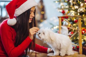 Many holiday foods contain ingredients that can be toxic to pets, so it's essential to be mindful of what they eat.