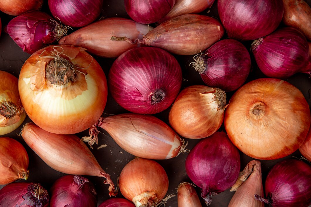 Onions, garlic, leeks, and chives are harmful to dog's red blood cells.