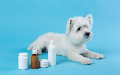 Gabapentin can help with seizures, pain management, and anxiety in dogs.