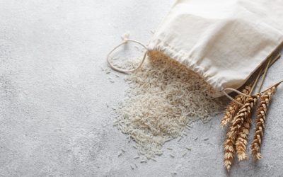 Benefits of rice in a dog's diet include digestibilty, energy, and fiber.