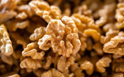 While walnuts can be nutritious for humans, the can cause certain risks in dogs such as pancreatitis.