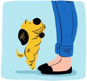 If your dog jumps up on people in public, use. leash to manage their behavior.