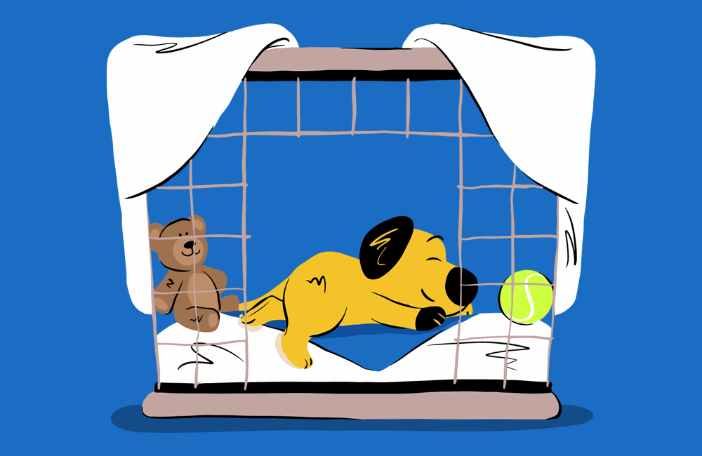 How to Crate Train Your Dog in Nine Easy Steps