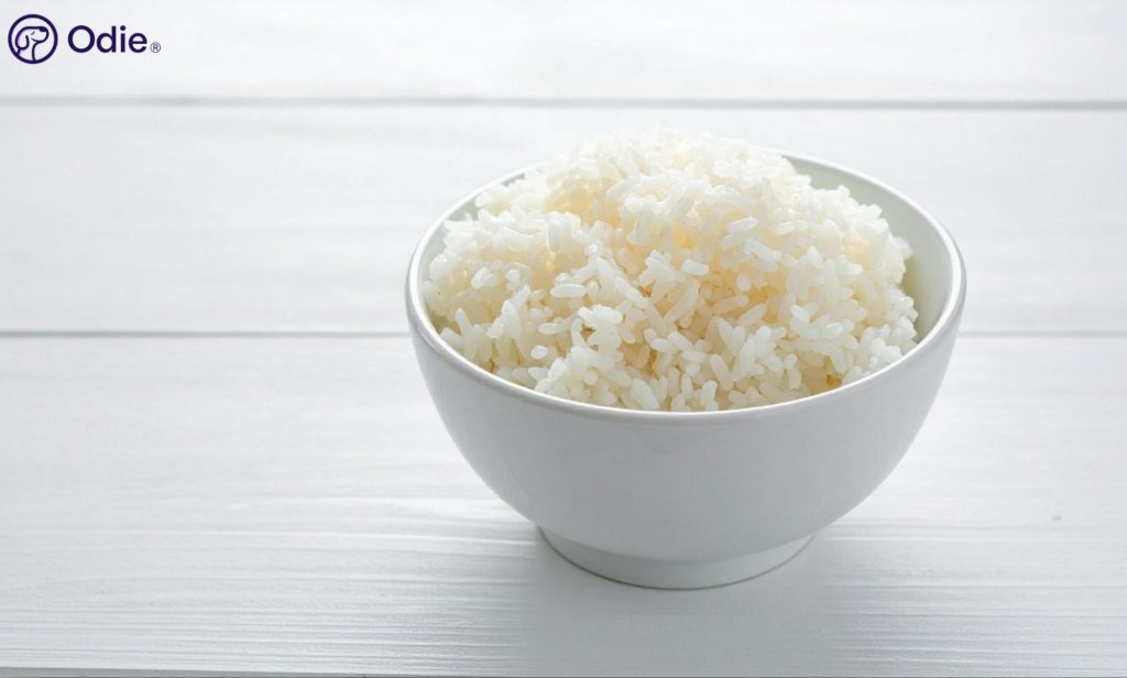 Bowl of plain white rice used as a bland diet for dogs with an upset stomach.