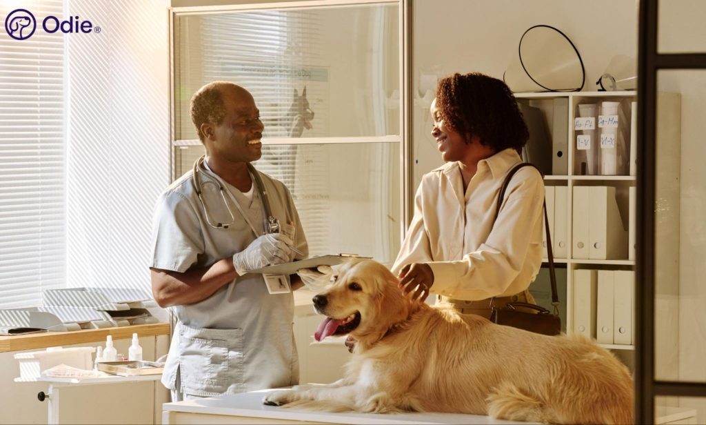 Smiling veterinarian holding a clipboard while discussing care with a dog owner petting her Golden Retriever.