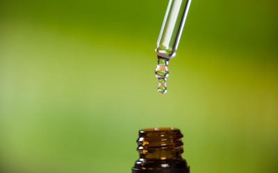 Tea tree oil can be extremely toxic for dogs.