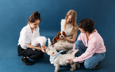 National Pet Day is a day to celebrate the love and companionship that your dog provides.