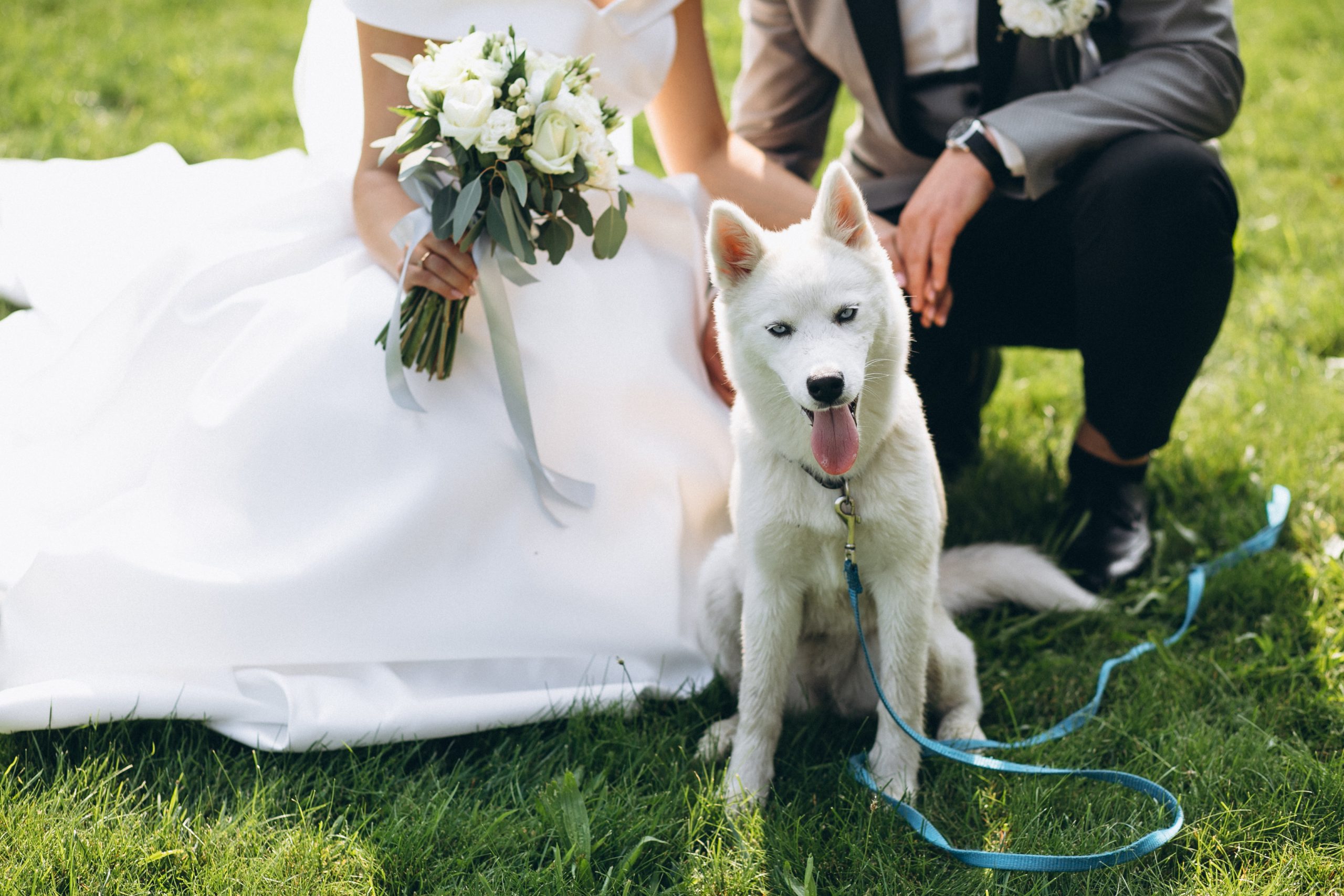 Bride with groom with their dog on their wedding day As dogs are considered part of the family, more and more couples are finding ways to include them in their wedding celebrations.