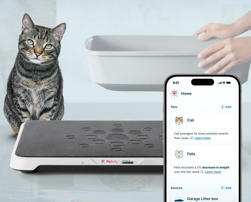 smart-litter-box woman working on computer with cat on lap