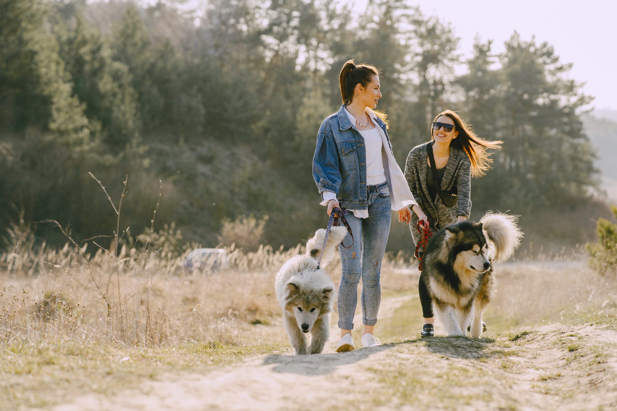 Two stylish girls in a spring field with a dog Odie Pet Insurance offers a stand-alone Wellness Plan offering reimbursements for routine care items.