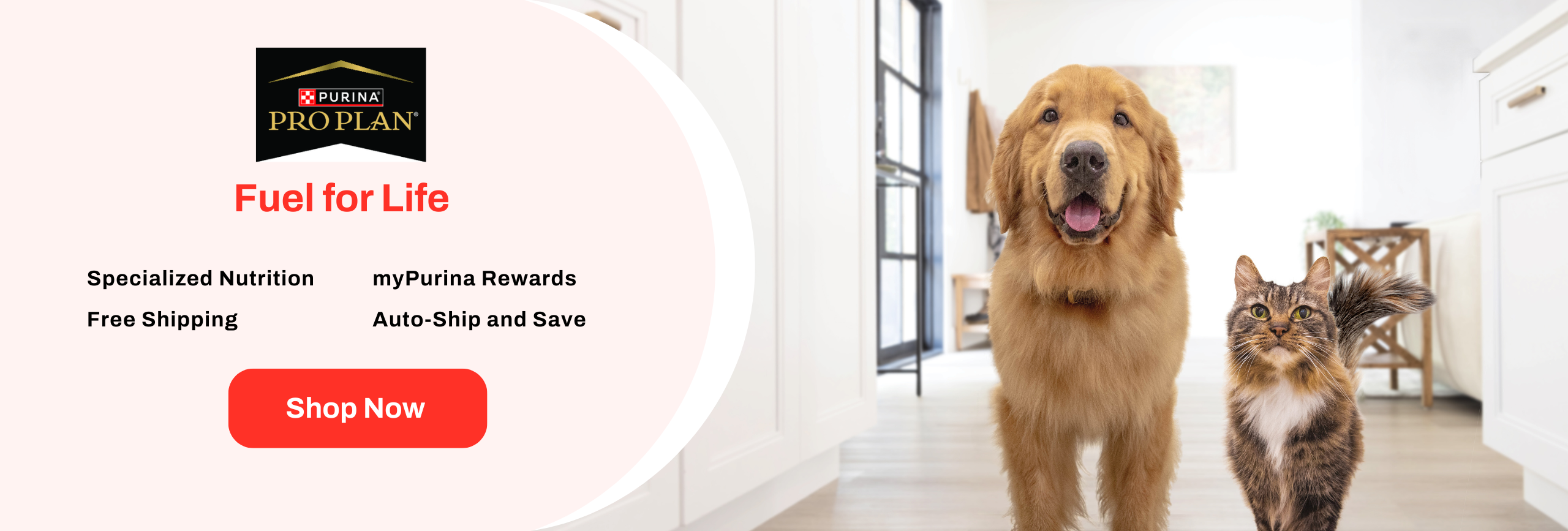 Shop Purina Banner Shop Purina