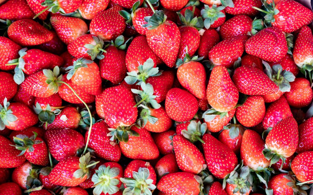 Can Dogs Eat Strawberries?