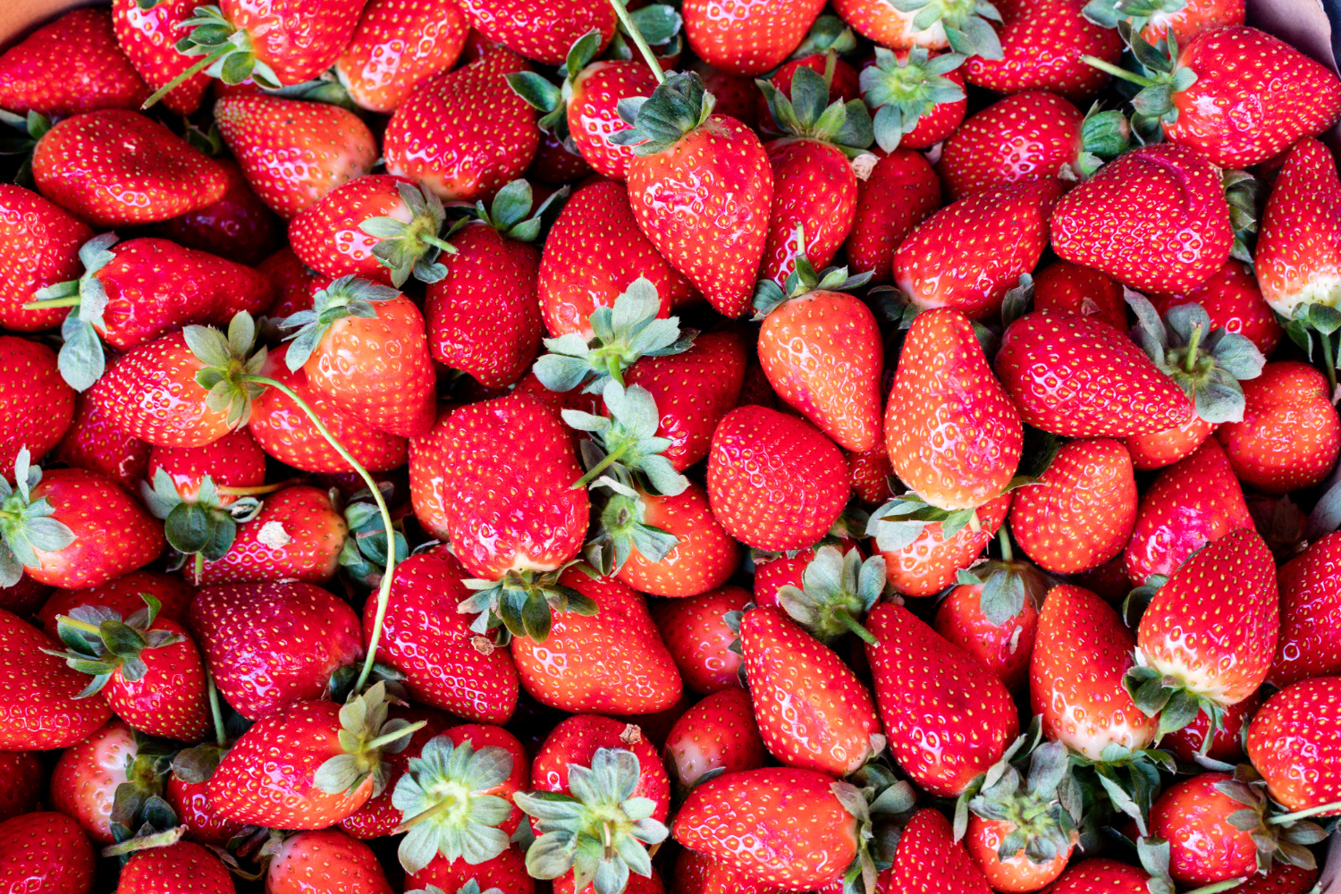 Strawberries are safe for dogs to consume, but strawberry jelly may pose some risks.