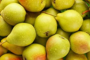While uncommon, some dogs may have an allergic reaction to pears.