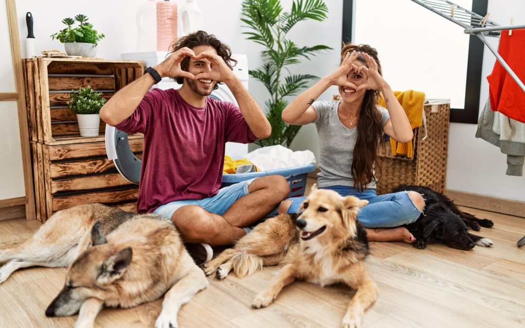 Introducing Odie Perks: More Ways to Care for Your Pet, Every Day