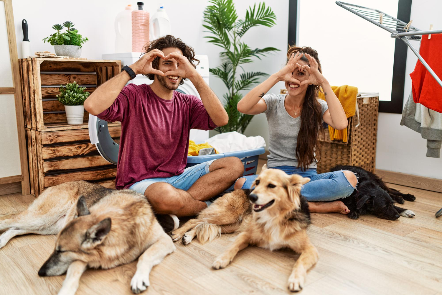 Young hispanic couple doing laundry with dogs doing heart shape with hand and fingers smiling looking through sign Odie Perks offers members a selection of savings and offers from trusted pet brands.
