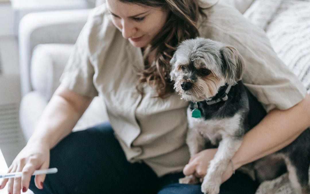 How Much Does Pet Insurance Cost in 2026?